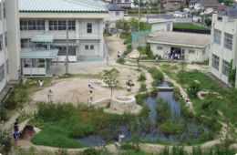 壱岐南小学校ビオトープ