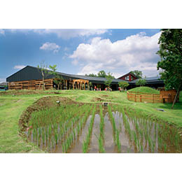 万博公園どろんこ保育園