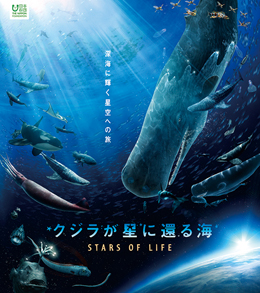 クジラが星に還る海 -STARS OF LIFE- | キッズデザイン賞 | キッズ