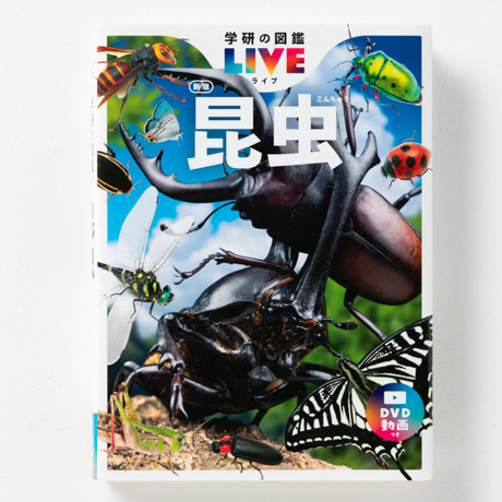すかい 小学館の図鑑 講談社の図鑑 学研の図鑑 計19冊セット ずかん